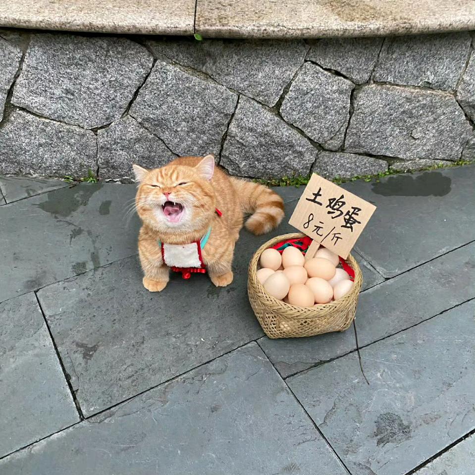余路