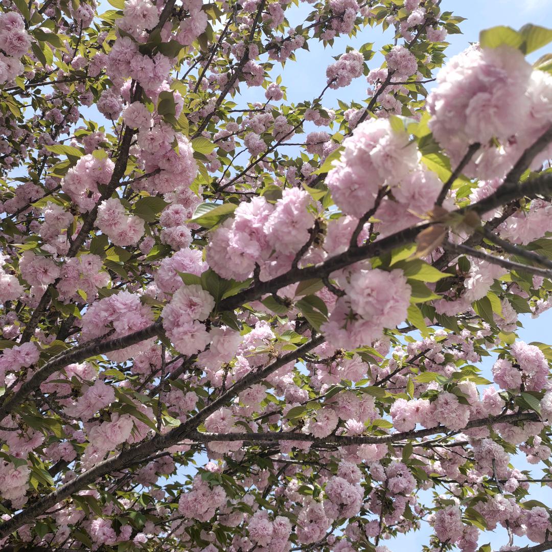 健康是福.放下一切.过好每一天！