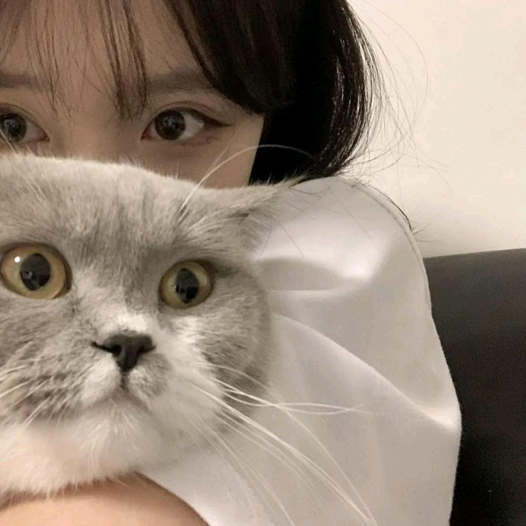 李洙赫的乖宝宝