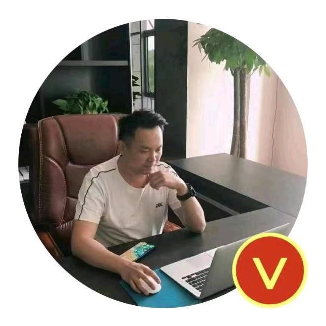 鄂尔多斯  张震   金融  资产 汽车