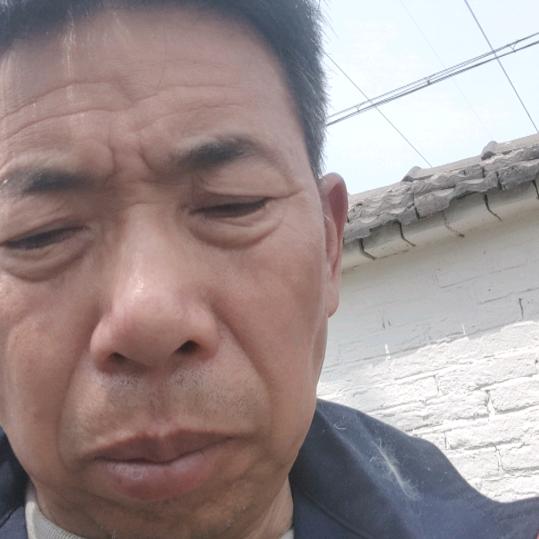 海哥吃喝玩乐影视剧场大号