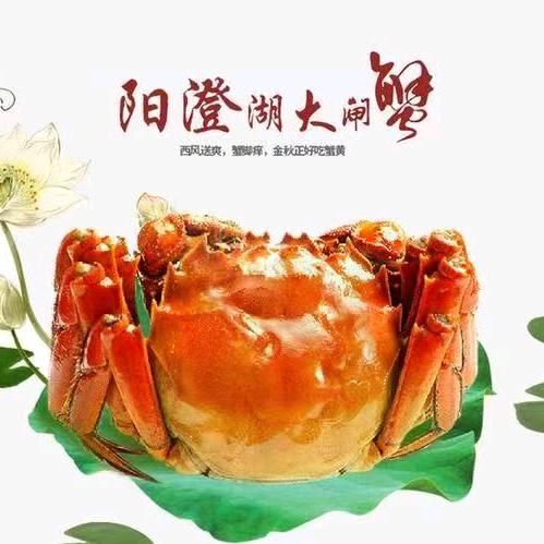 惠友蟹业