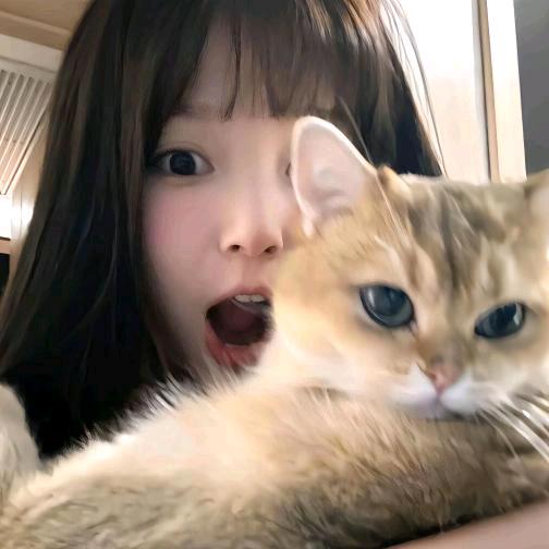 晓晓🍣