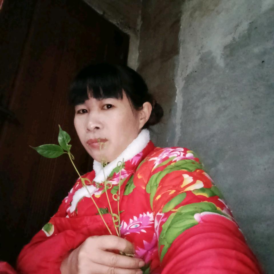 苦命人，太难啦