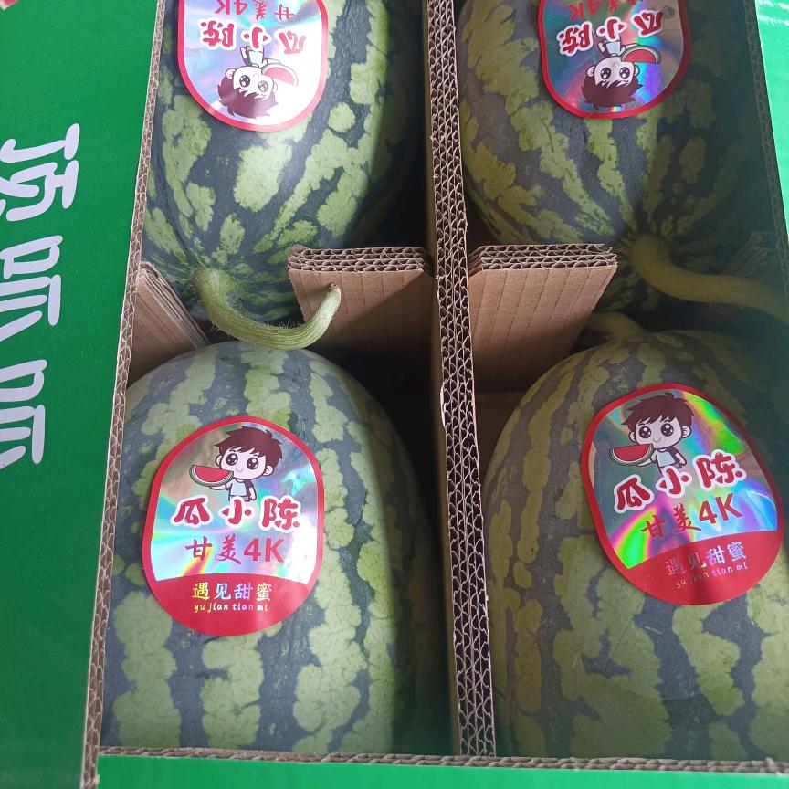 瓜小陈