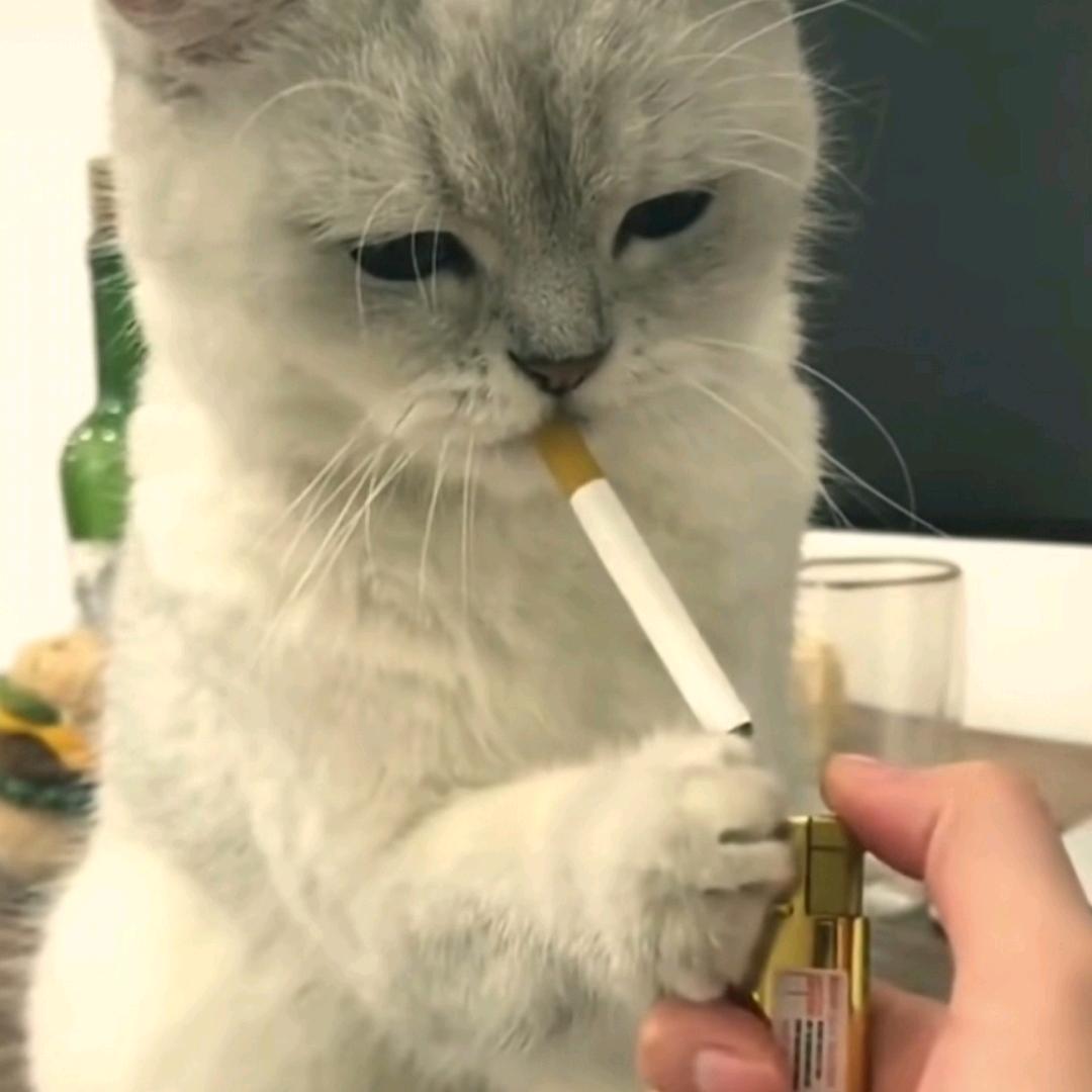 零忆🌸