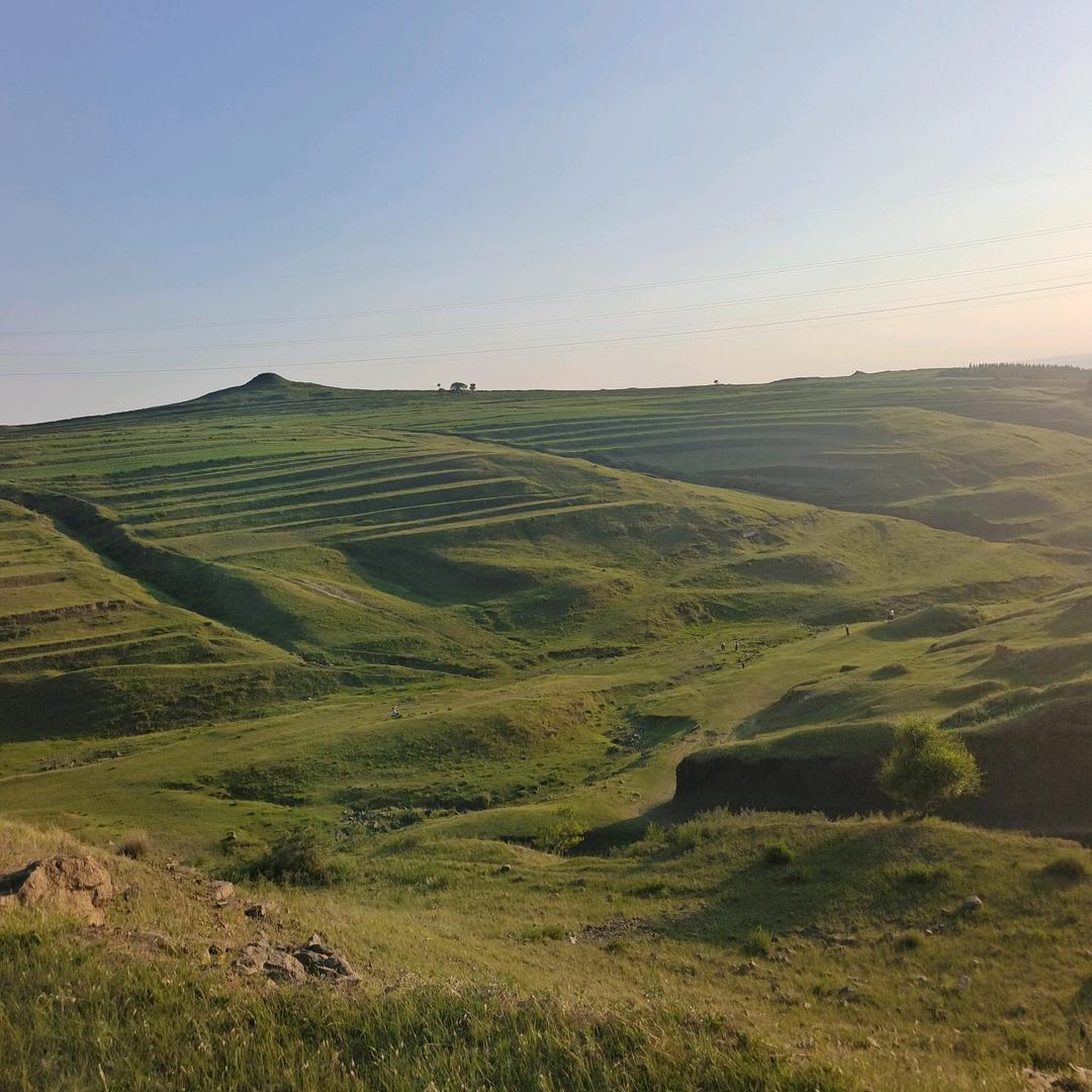 超弟鲜牛肉批发零售