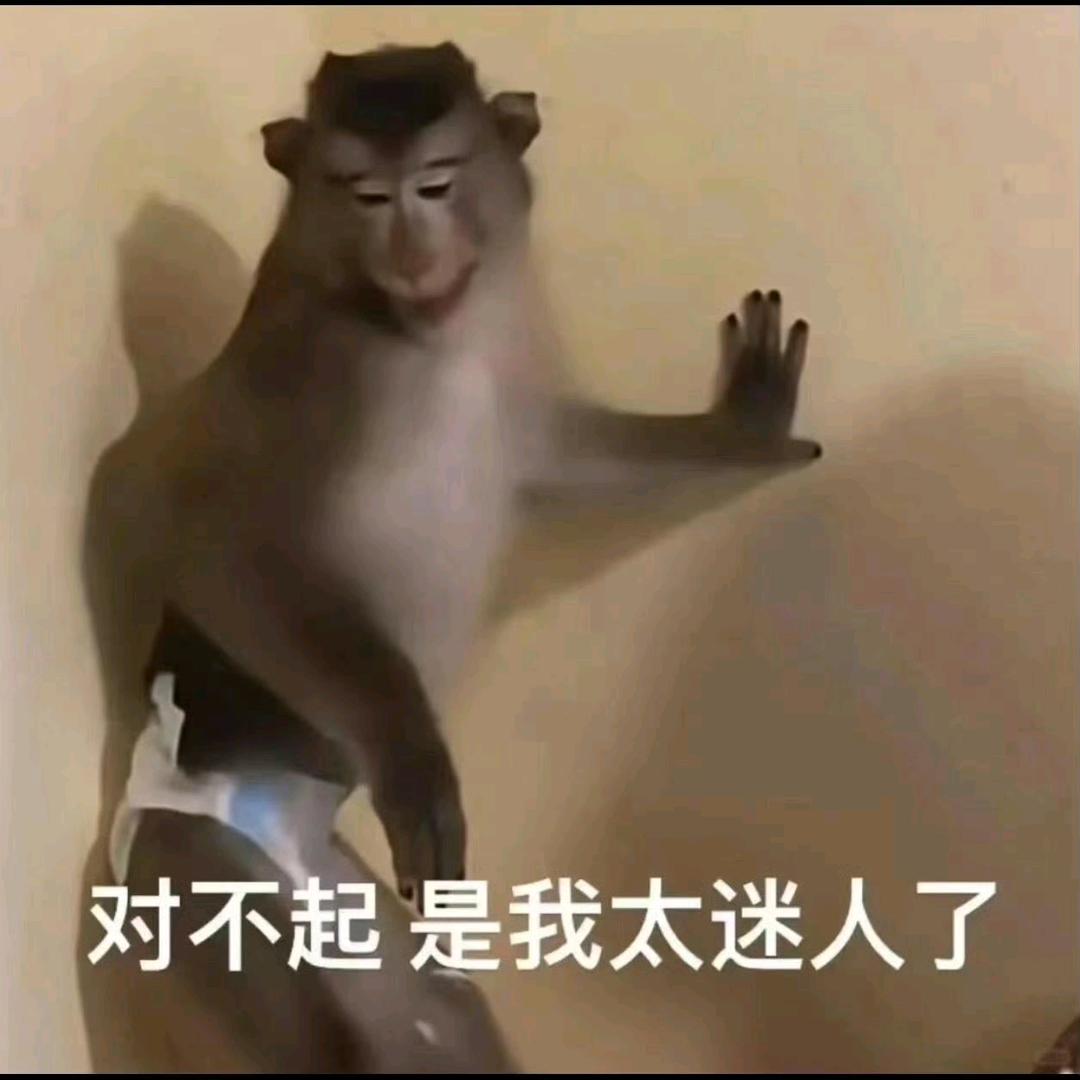 我💰到哪去了