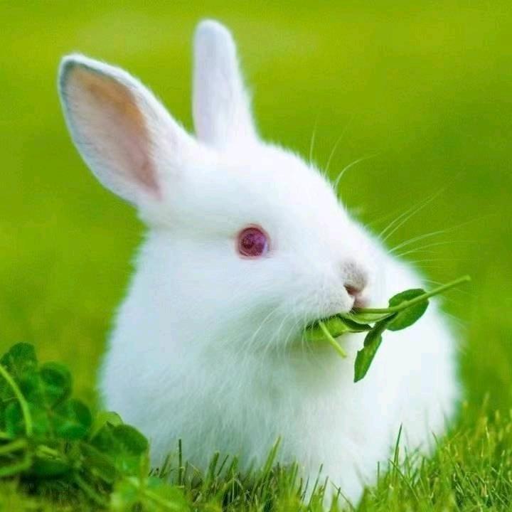 阳光开朗伊人醉