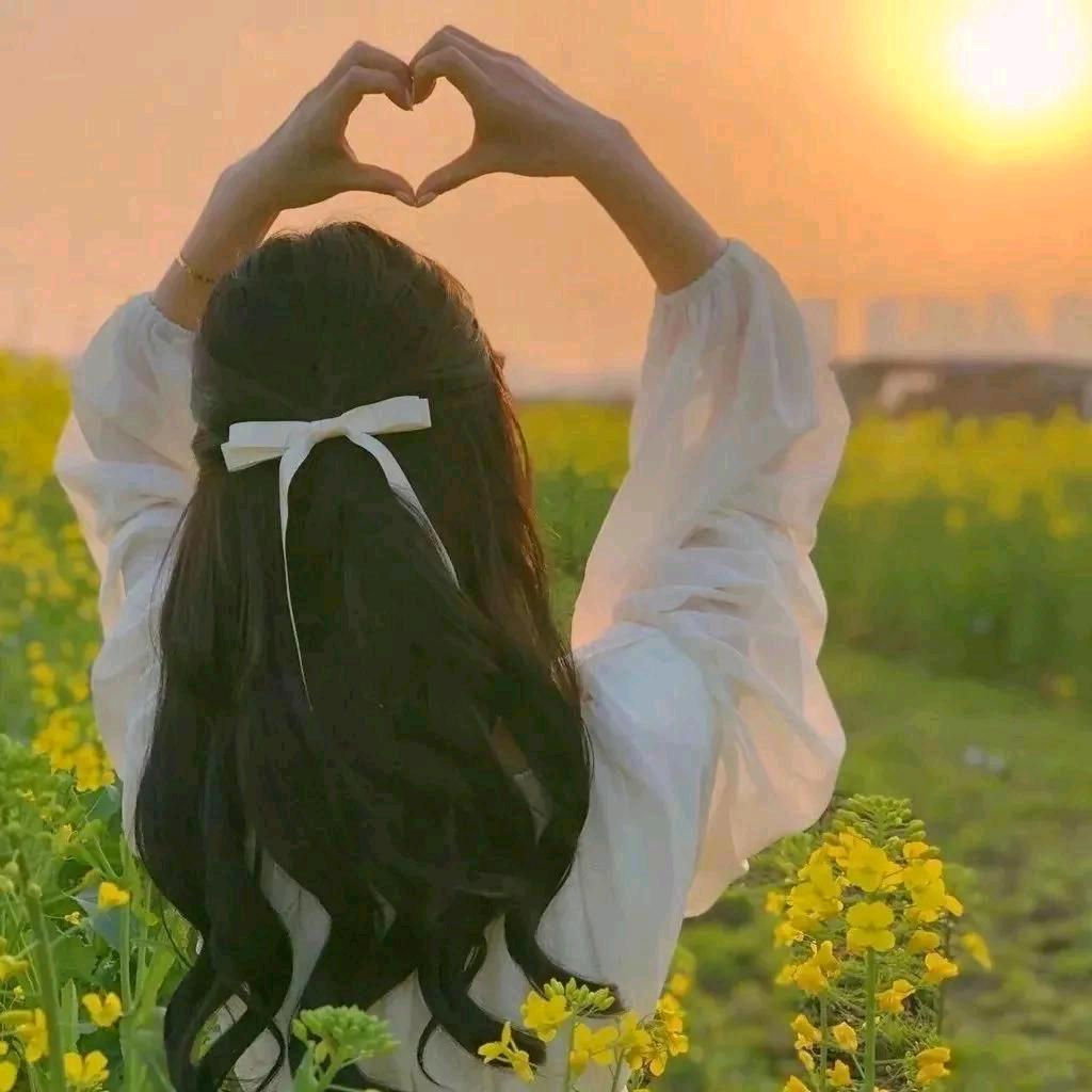 蝶恋花🌸