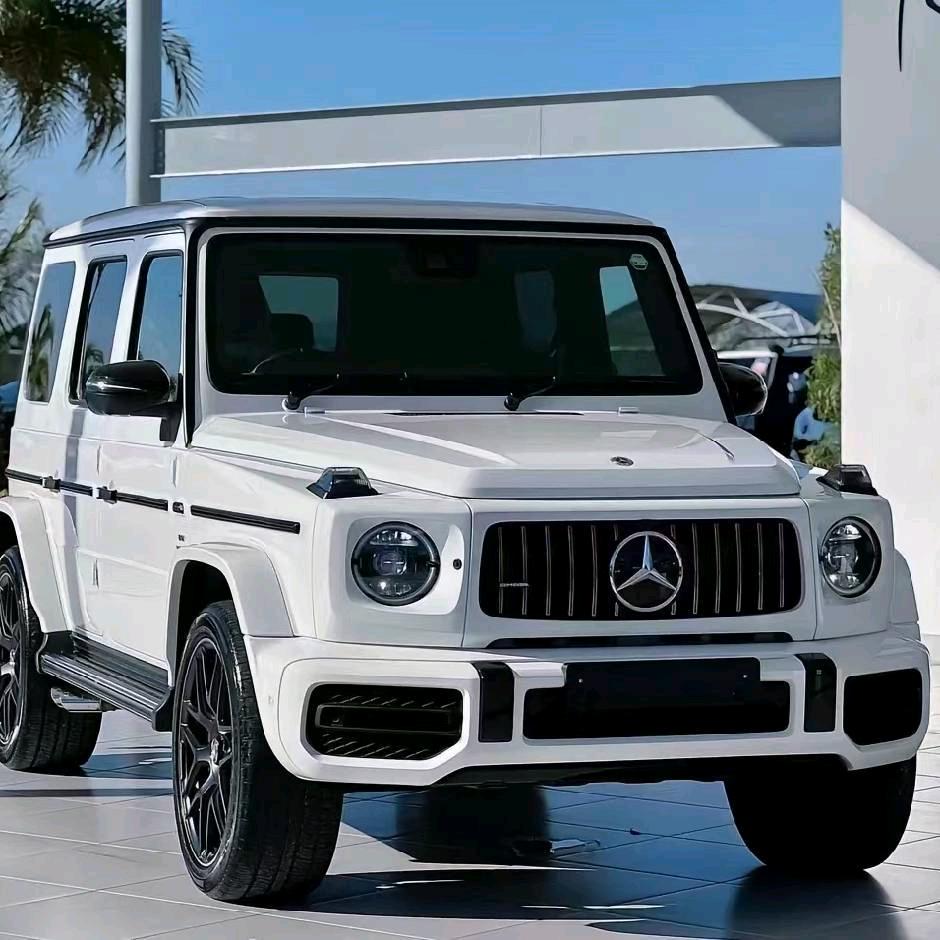 雪域雄鹰高原孩子