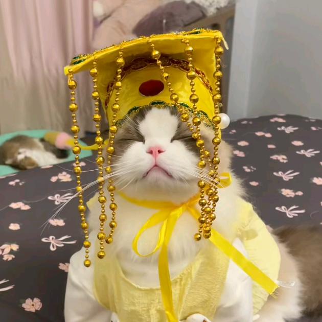 迟树.