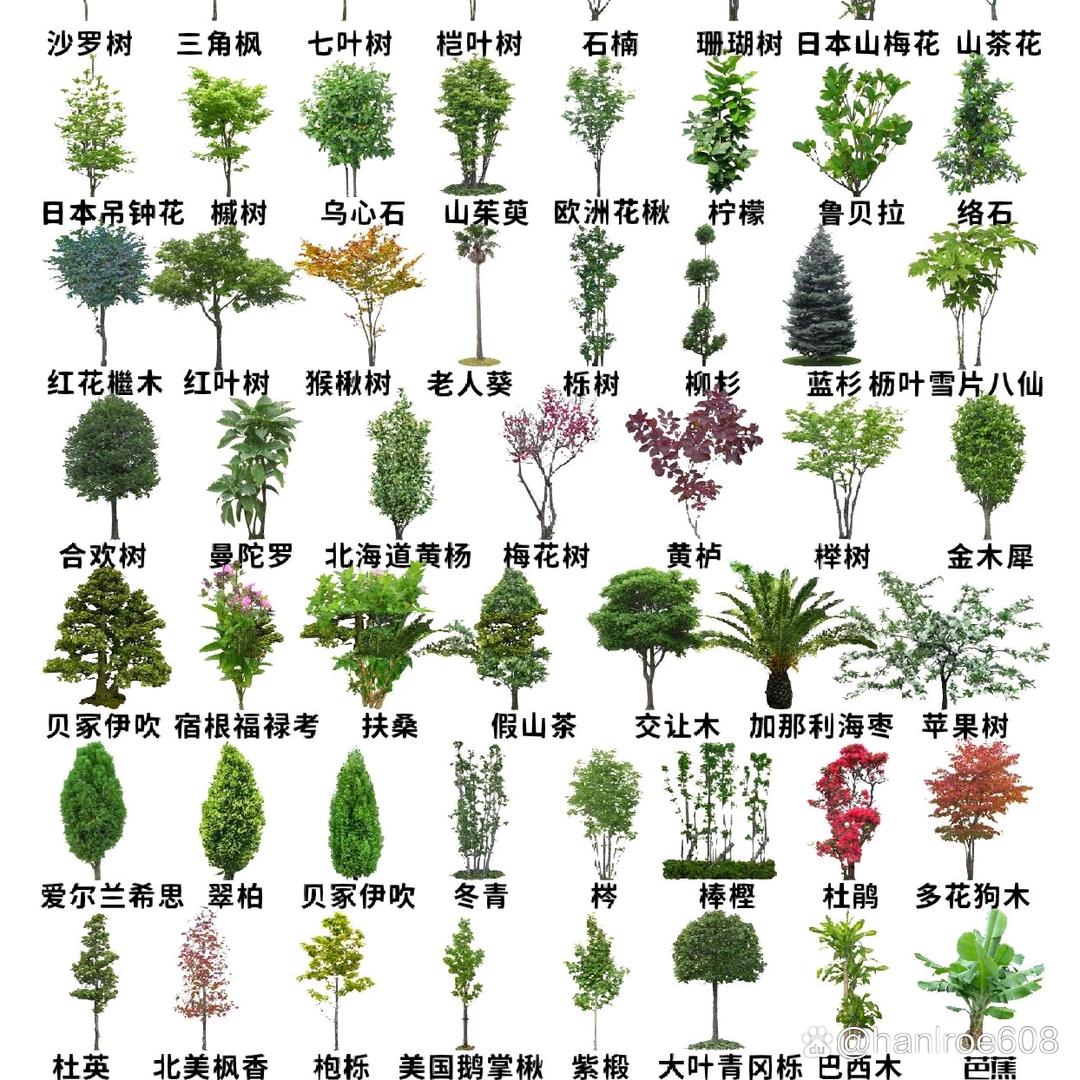 残疾人的生活