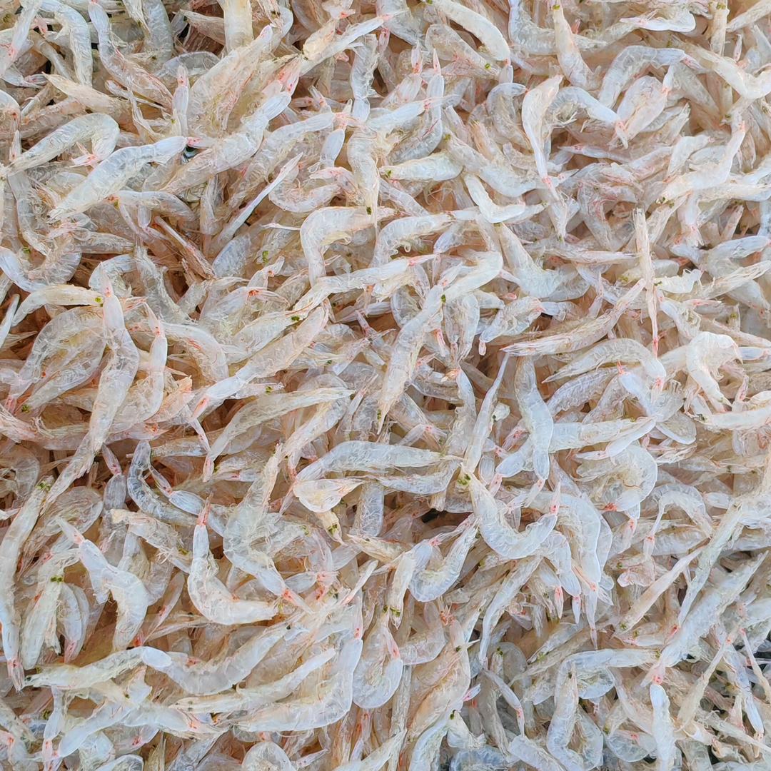 এ᭄๓不要蛮ꦿ不讲李᭄࿐ᩚ