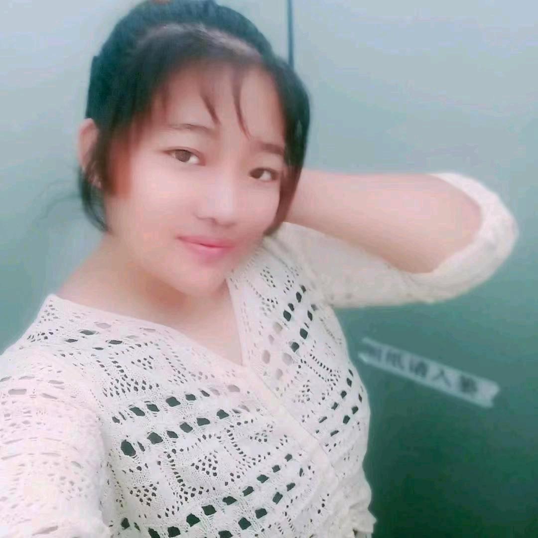 笨蛋我的爱