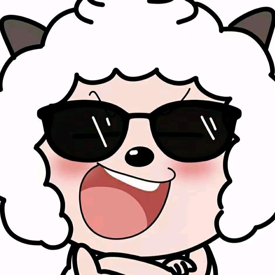 宋大帅