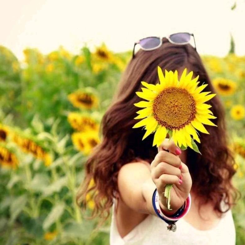 🌻甜瓜子🌻