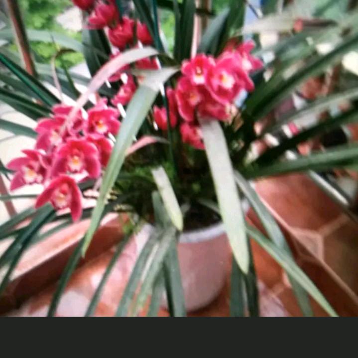 大千世界，无奇不有