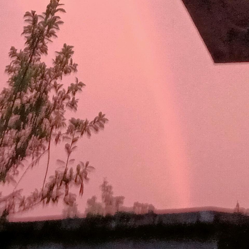 花开、看一丝阳光