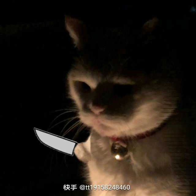 不在钟情，顺其自然