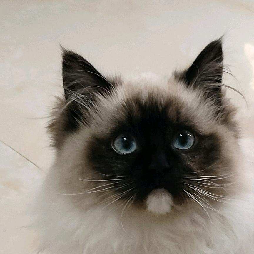 王小瘦