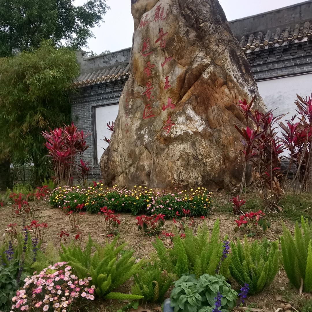 陈金凤凰