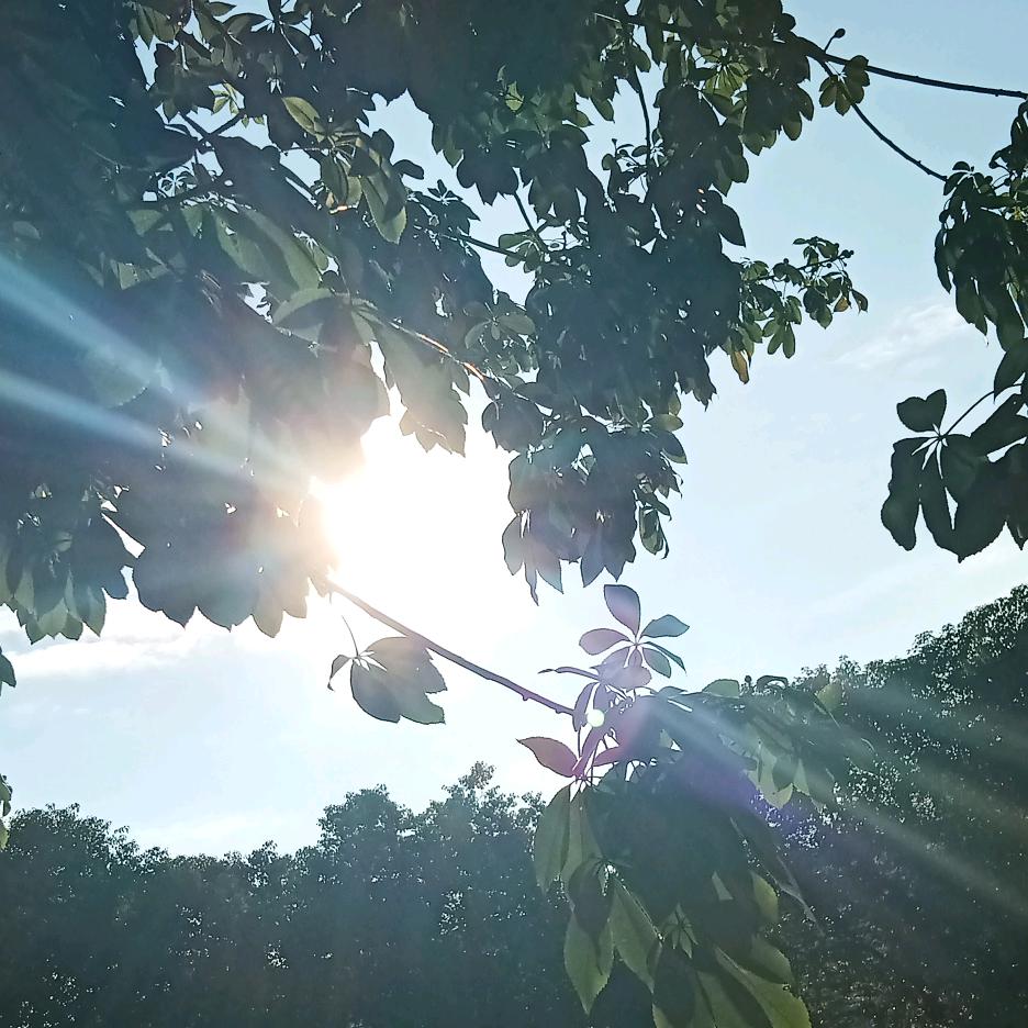 静静《霞霞》《拒私聊》头像