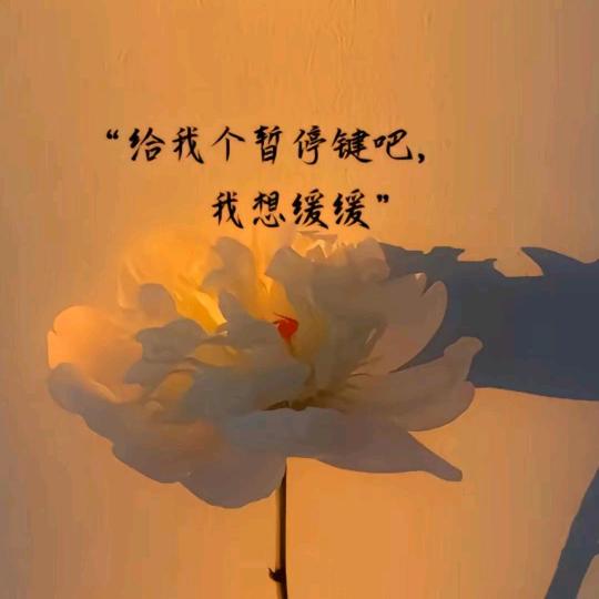 ꦿ᭄释怀༉ᩚ᭄: