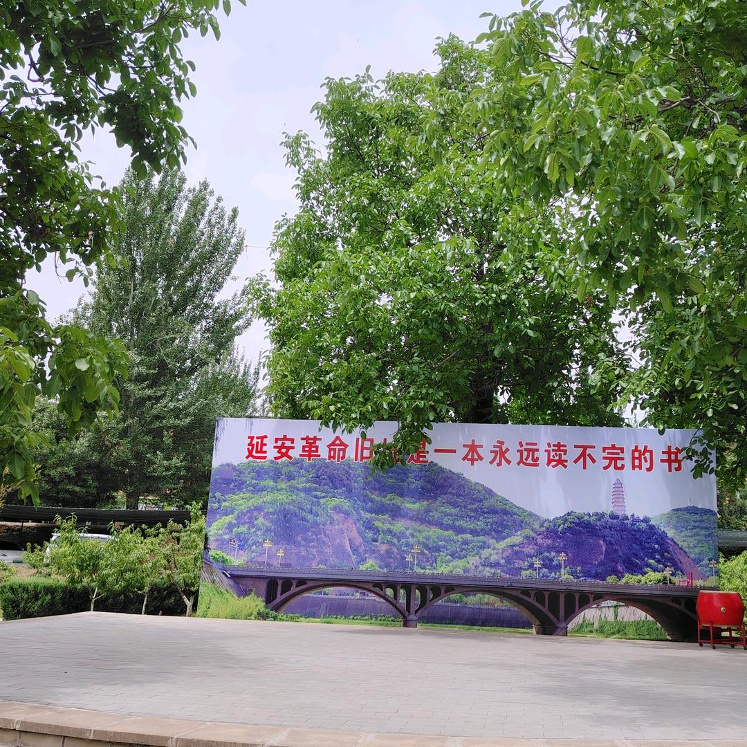 再生资源回收♻️