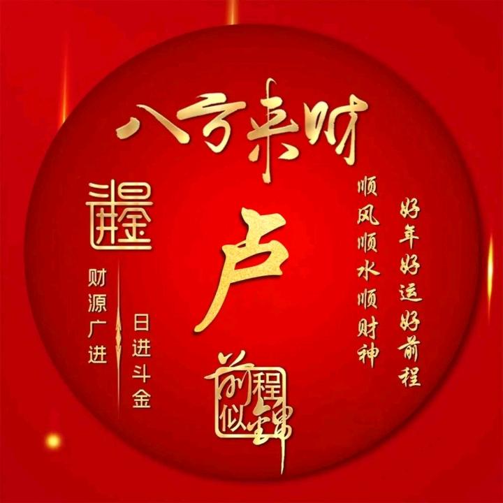 卢家二少爷