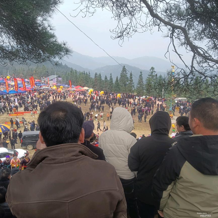 网名称号