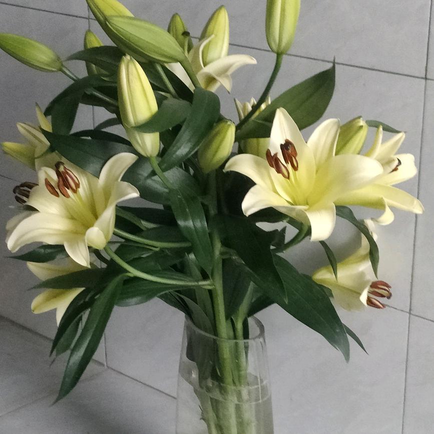 不离不弃的等待