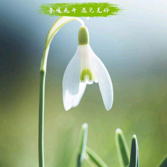 晨曦