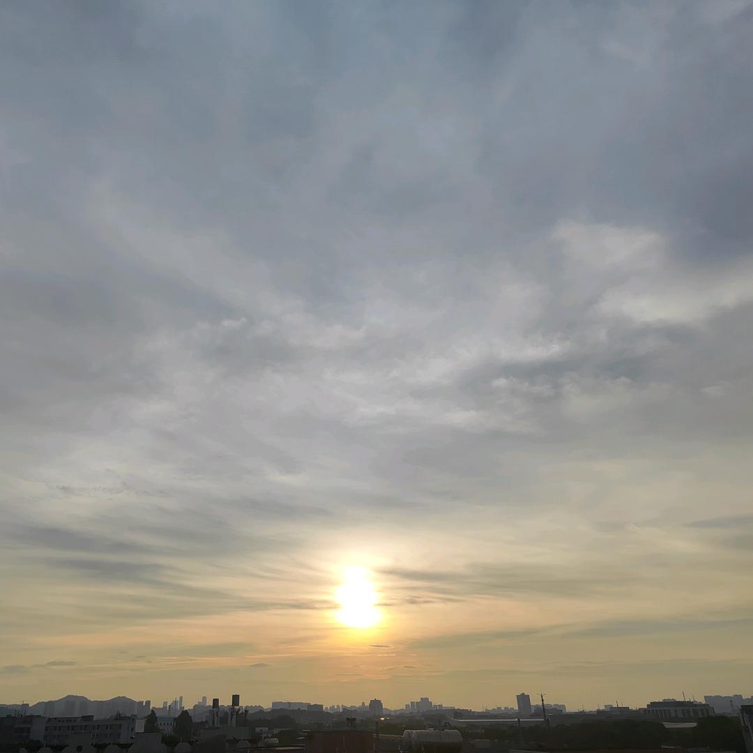 林风叶子