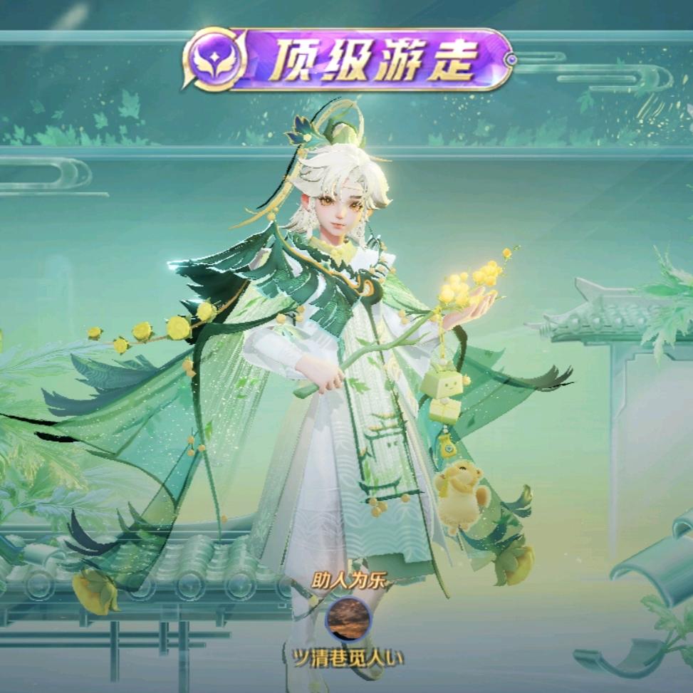 疯子（王者荣耀各分路都可玩）