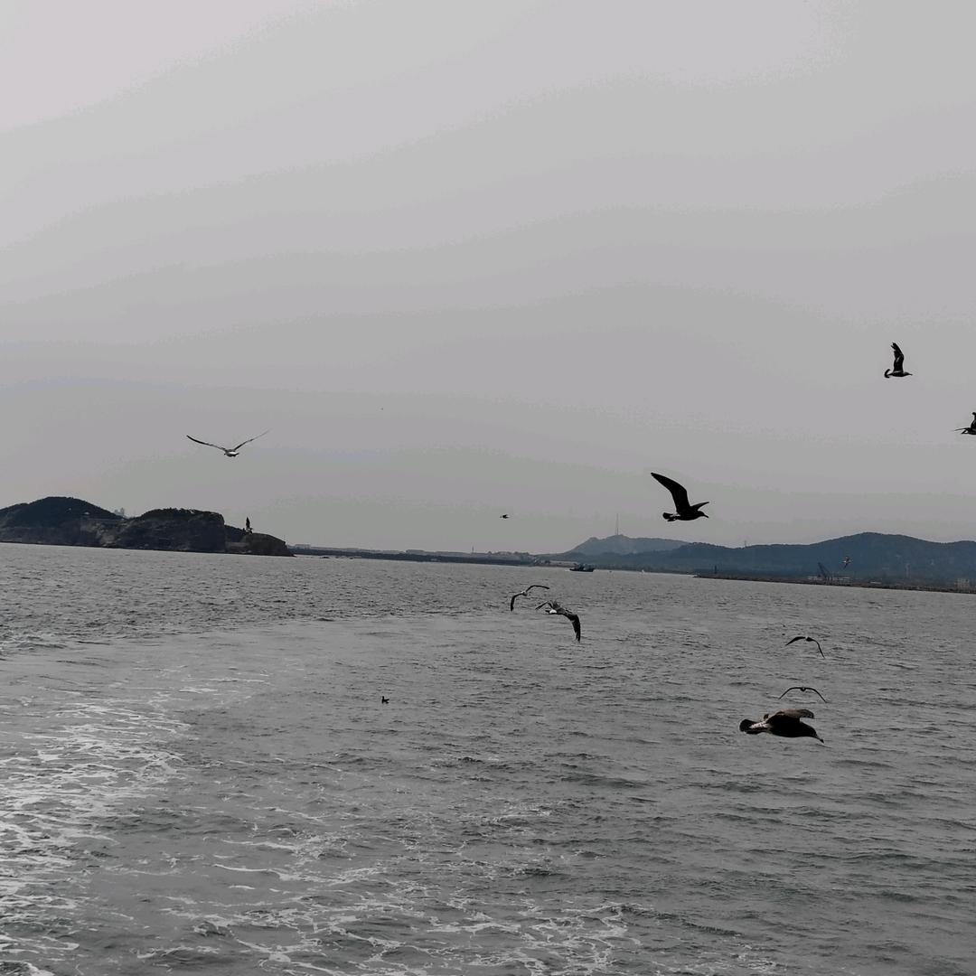 洛洛