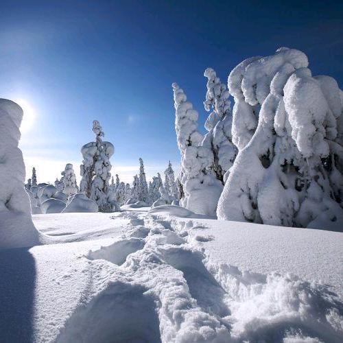 恒业互联网技术员