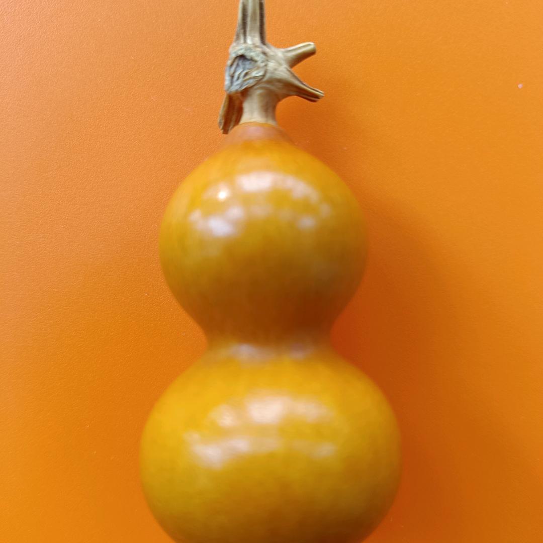 发现