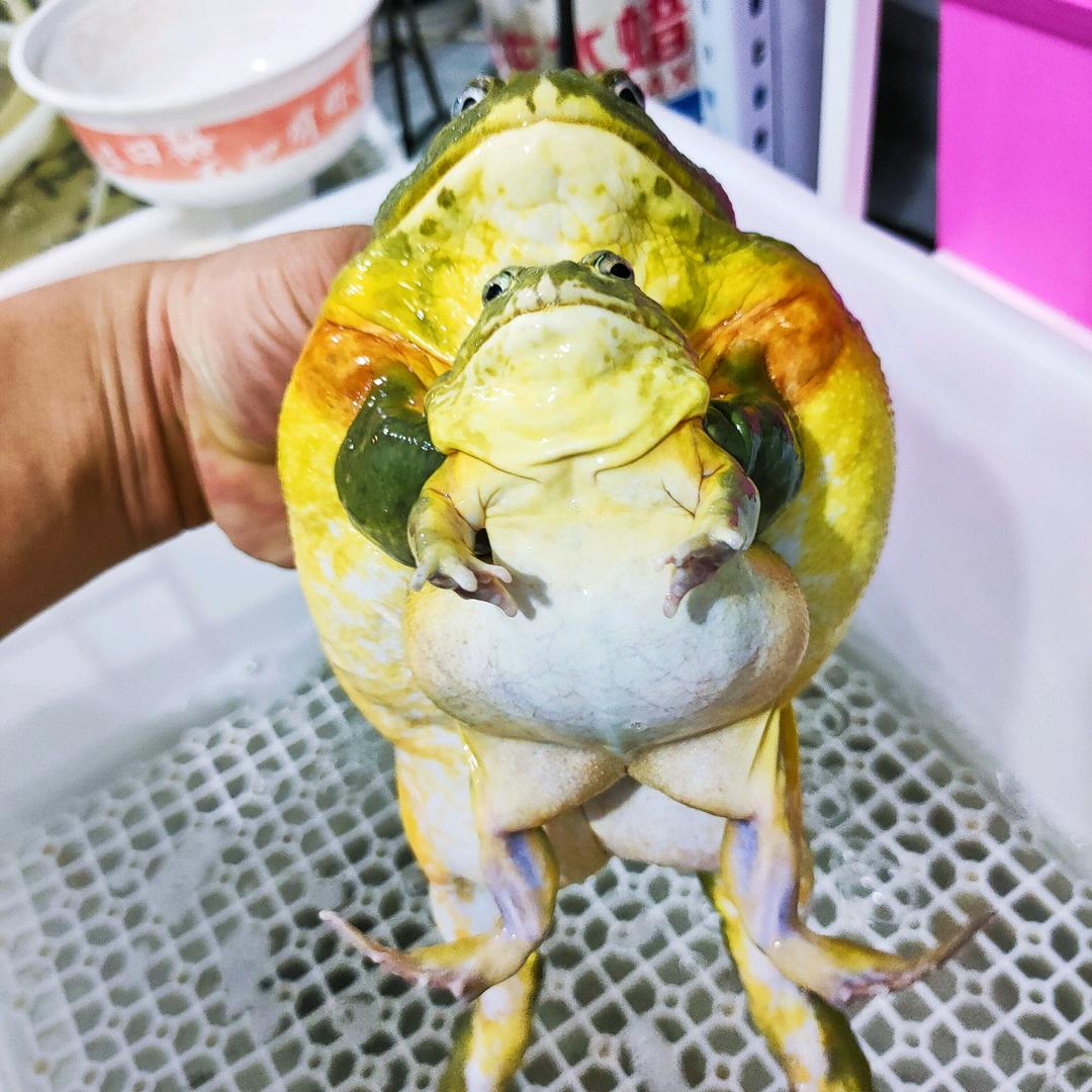 阳光