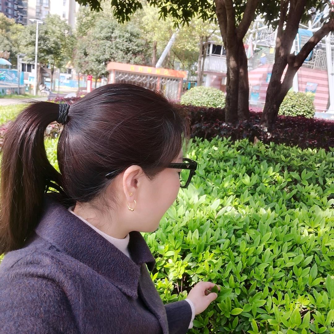 红苹果