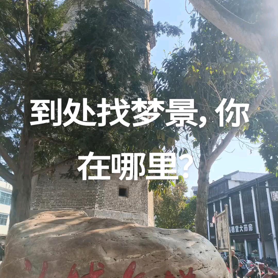 痴迷梦景《su》