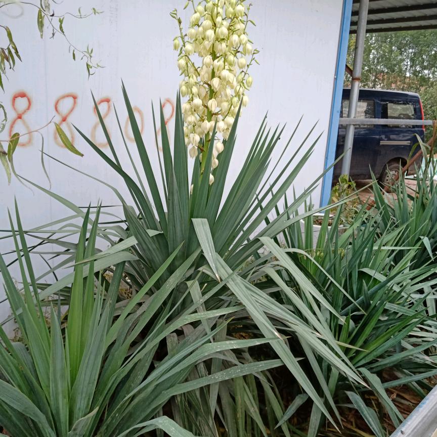 老高自来水管道改造公路穿越打孔