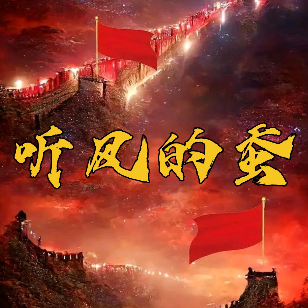 听风的蚕【蚕选】