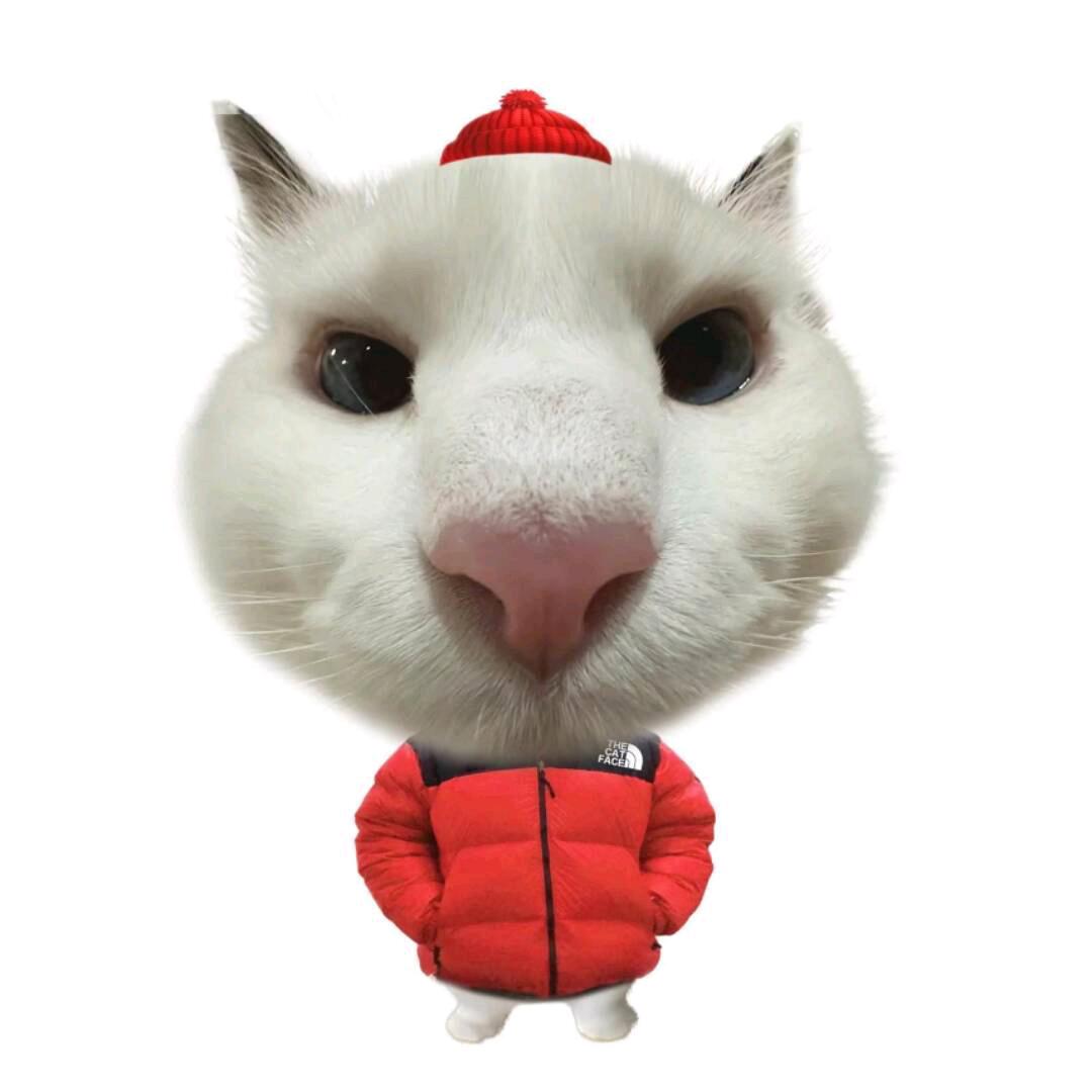 meme