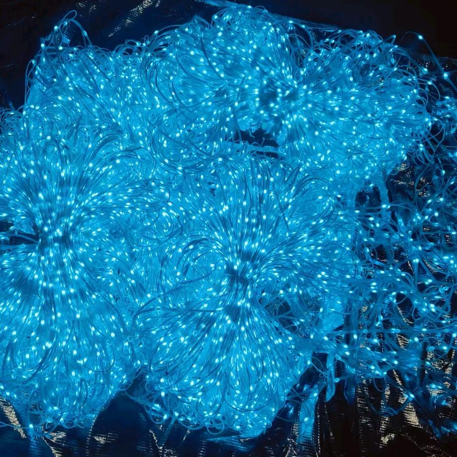 彩辉皮线灯串网格屏