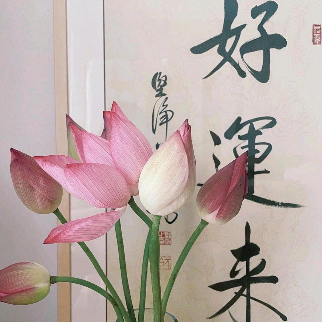手可摘星陈🌟