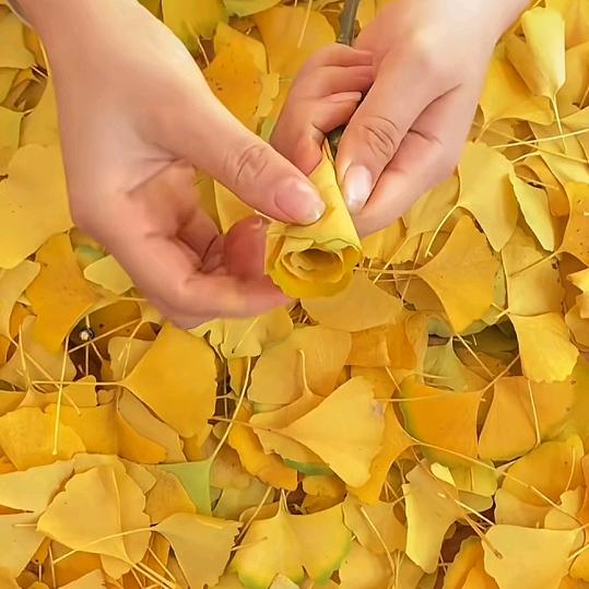 圣韵美业健康管理