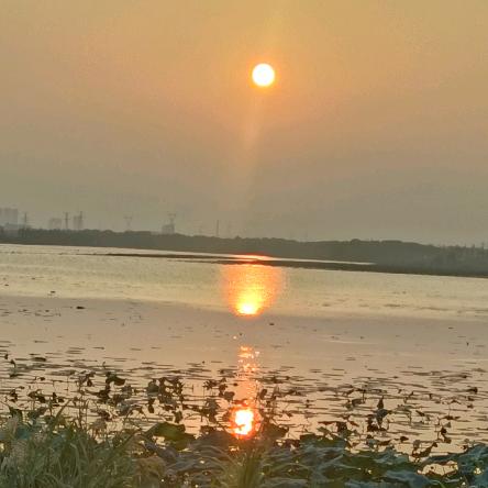 南郡🌾橱窗有好物