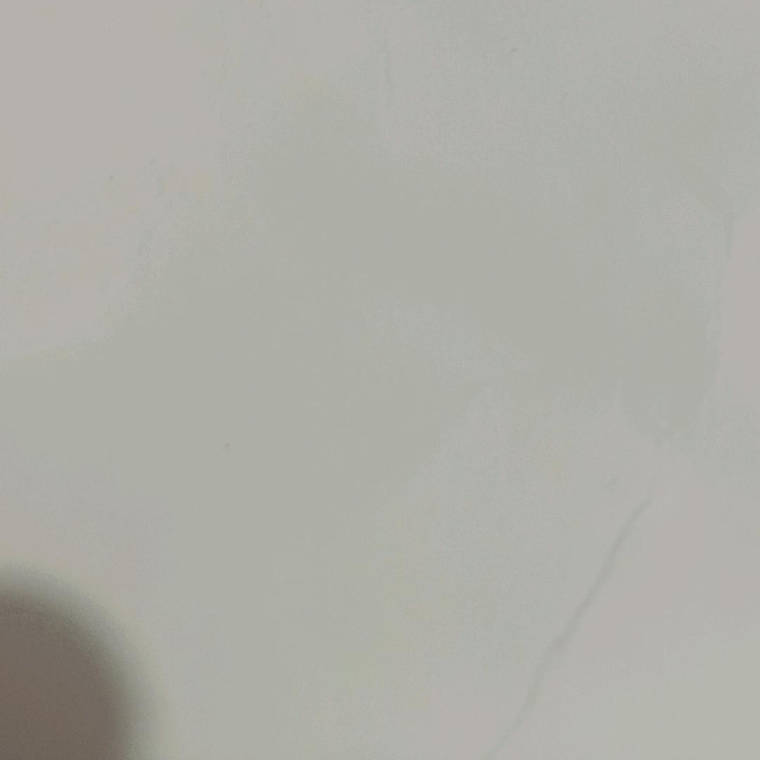 友友