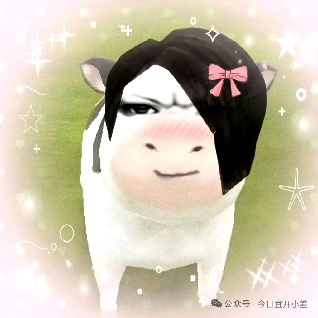 要死不活背书的小狗柿.